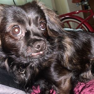 Meet your Posher, Trinity